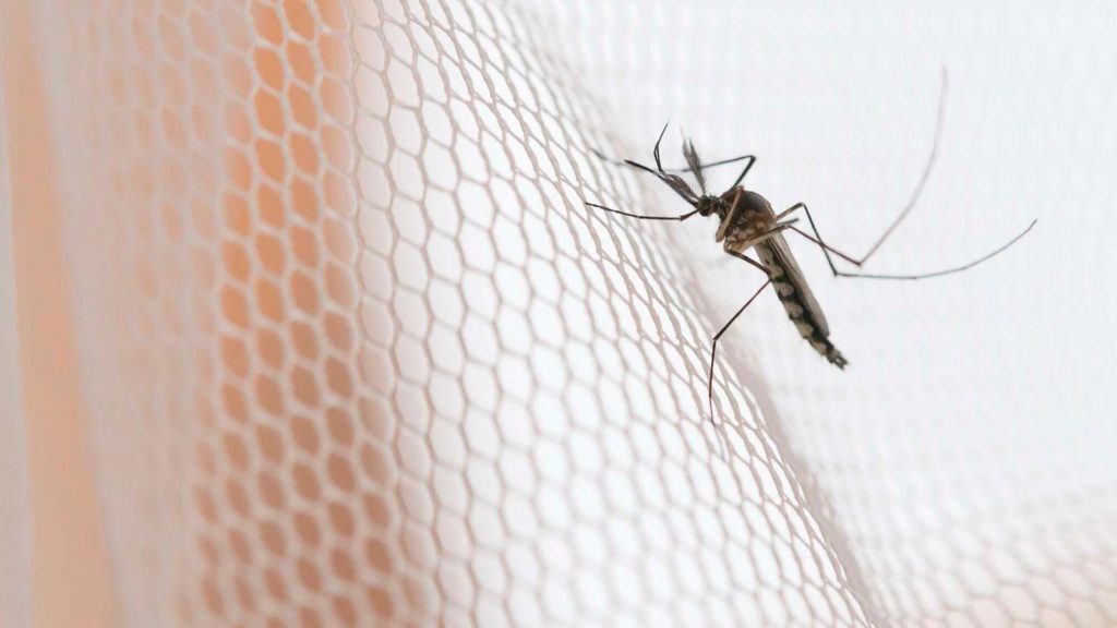 mosquito-repellants-to-be-exempted-from-taxation